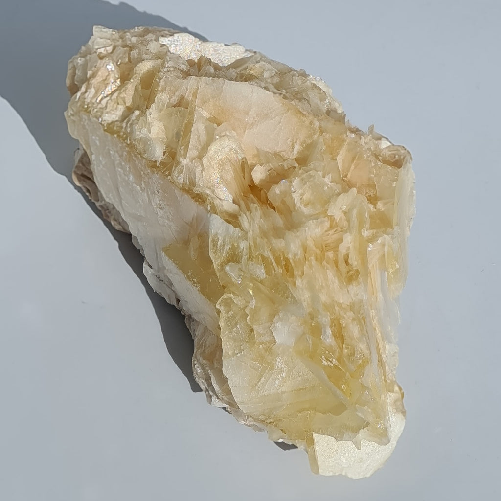 Extra Large Angel Wing Calcite