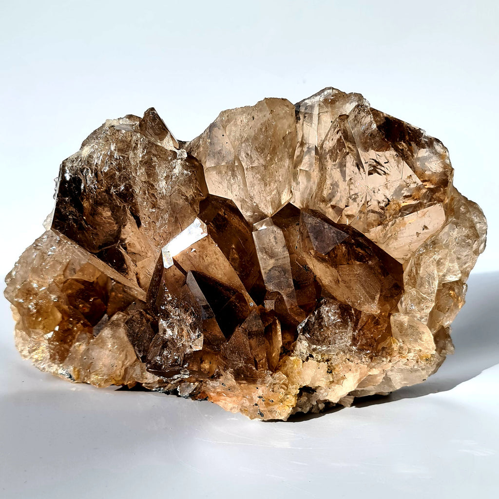 Extra Large Smokey Quartz Druze Cluster