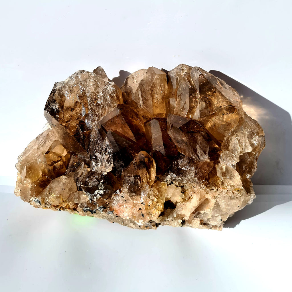 Extra Large Smokey Quartz Druze Cluster