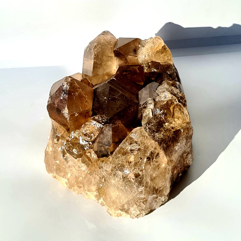 Extra Large Smokey Quartz Druze Cluster