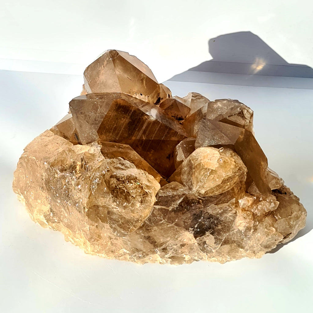 Extra Large Smokey Quartz Druze Cluster