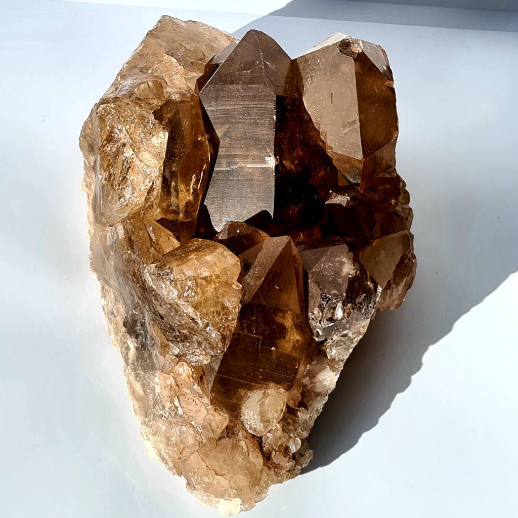 Extra Large Smokey Quartz Druze Cluster