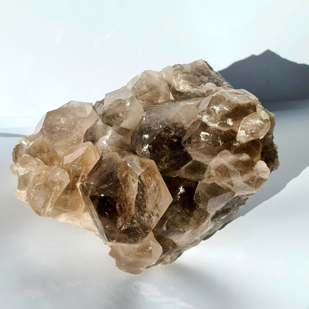 Extra Large Smokey Quartz Druze Cluster