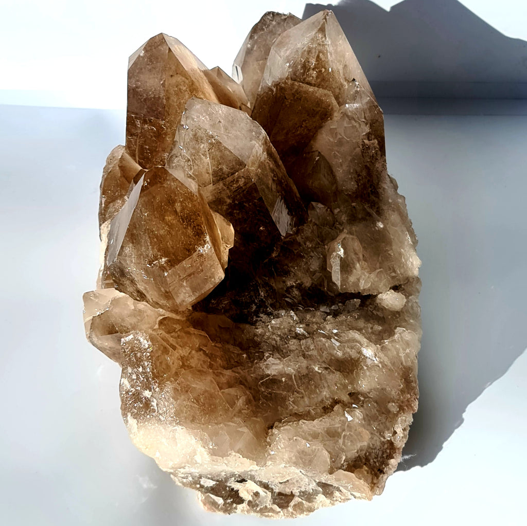 Extra Large Smokey Quartz Druze Cluster