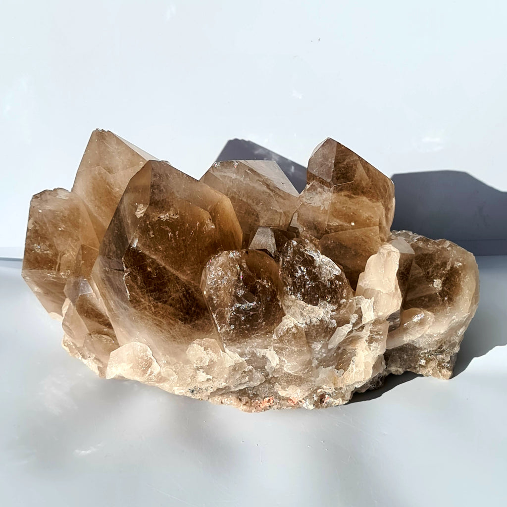 Extra Large Smokey Quartz Druze Cluster