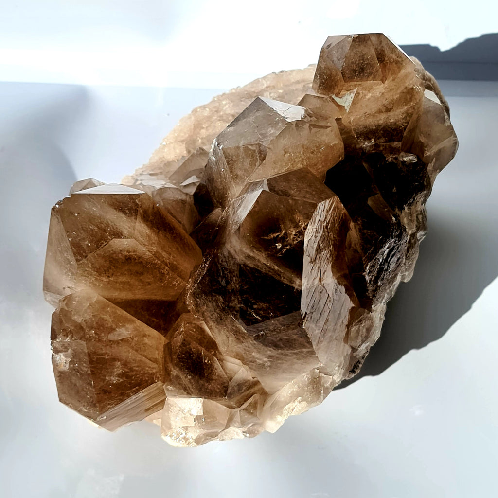 Extra Large Smokey Quartz Druze Cluster