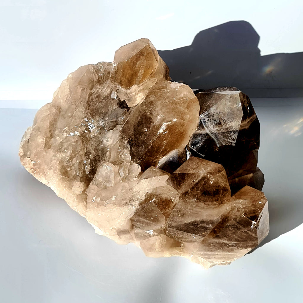 Extra Large Smokey Quartz Druze Cluster